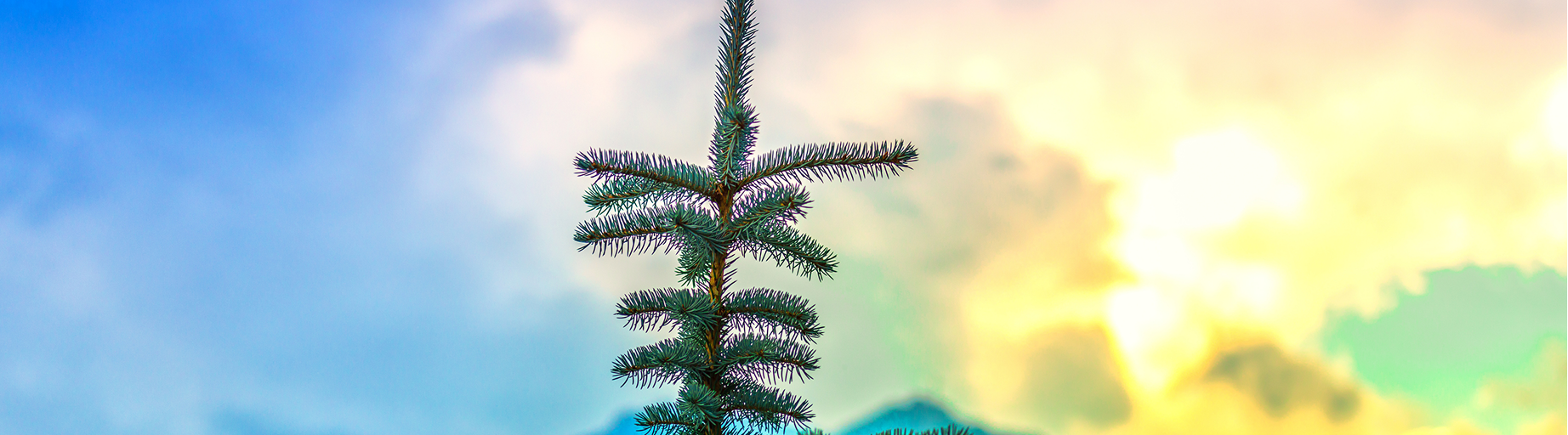 Featured blog post title lorem ipsum dolor sit amet, consectetur adipiscing (Dummy)