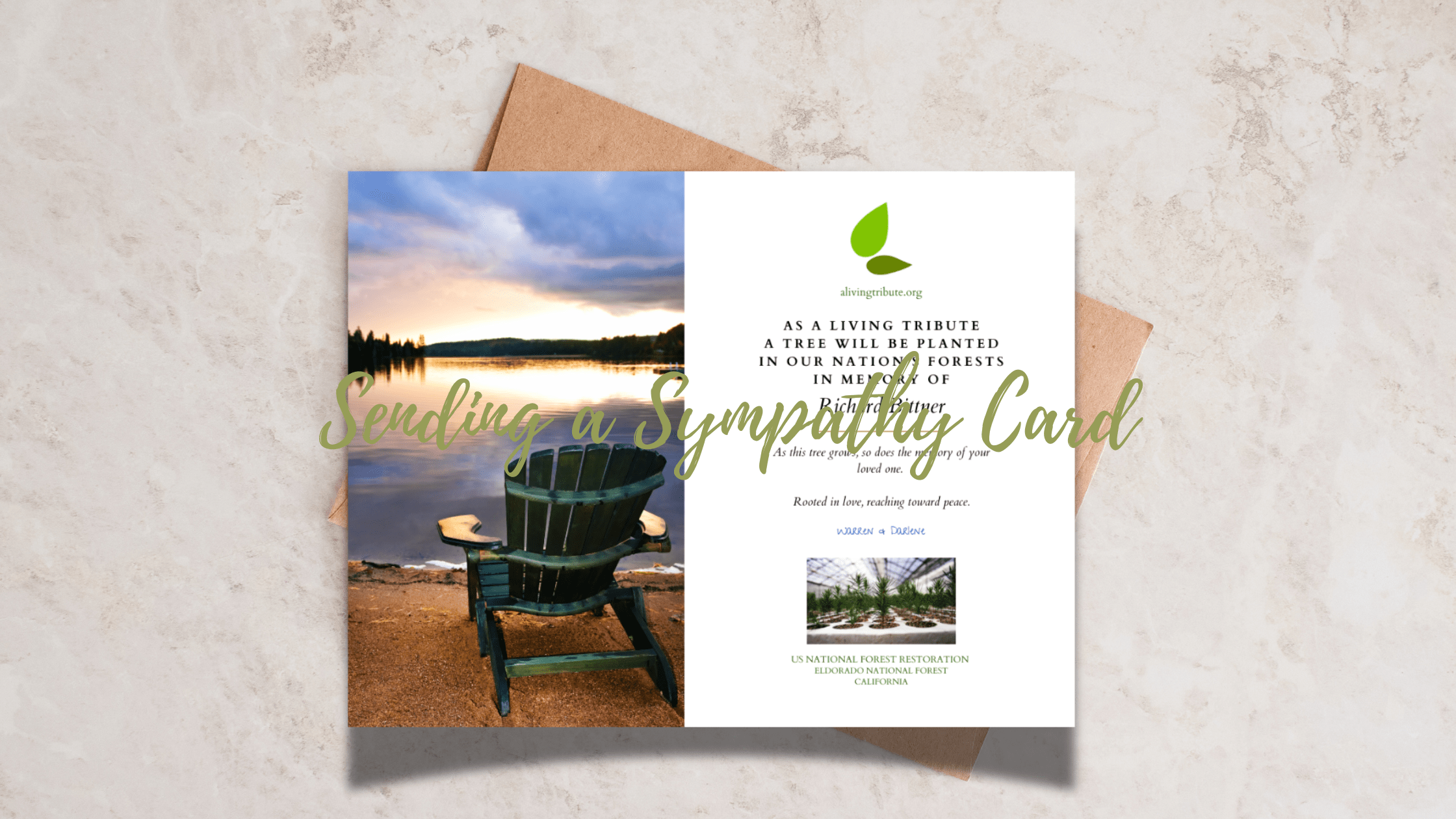 Plant a Tree in Memory: Send a Sympathy Card That Plants a Tree