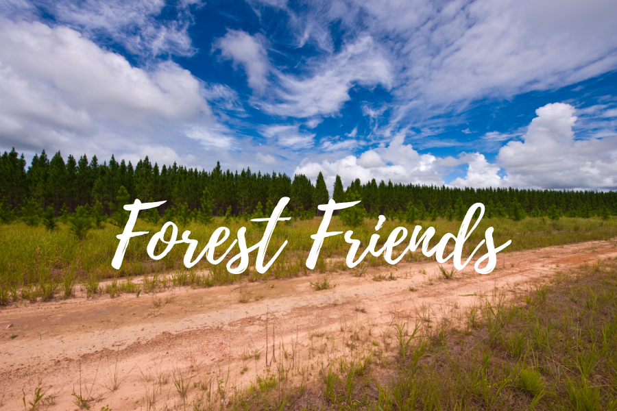 Memorial Trees on National Forests