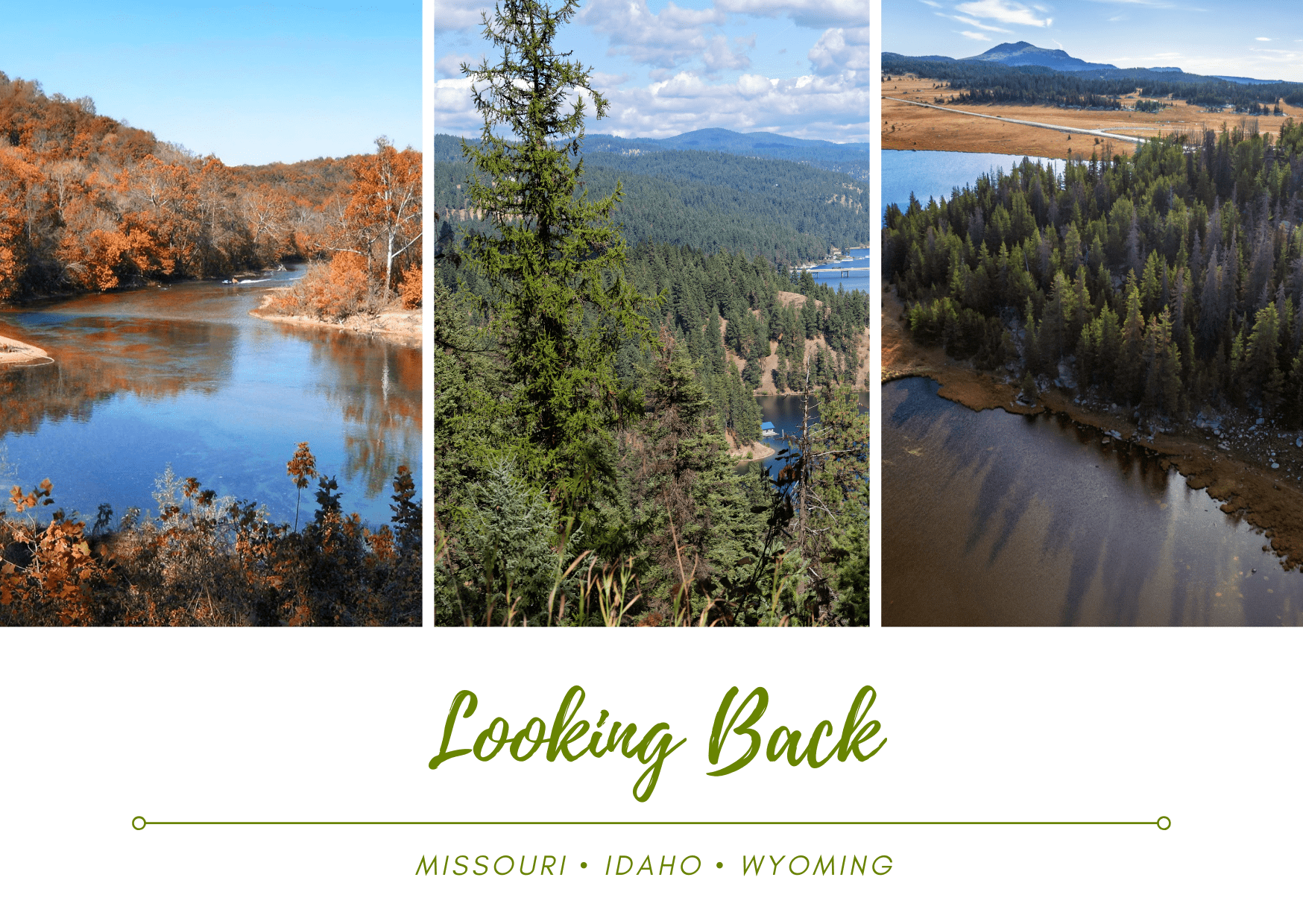 Looking Back: Three Powerful Reforestation Projects That Rebuilt Forests and Habitats