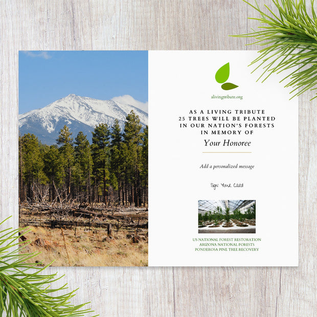 Plant-a-Tree Gift with Deluxe Photo Card