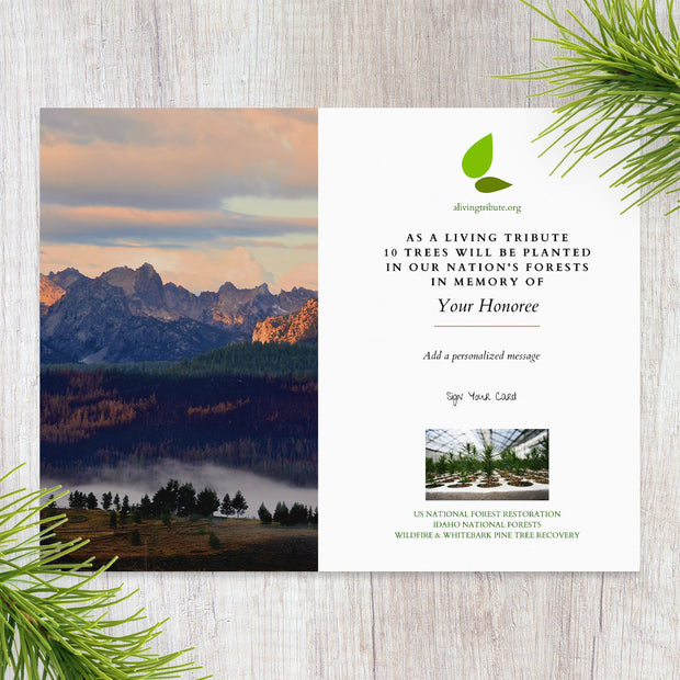 Plant-a-Tree Gift with Deluxe Photo Card