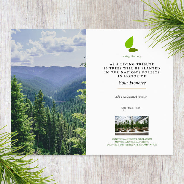 Plant-a-Tree Gift with Deluxe Photo Card