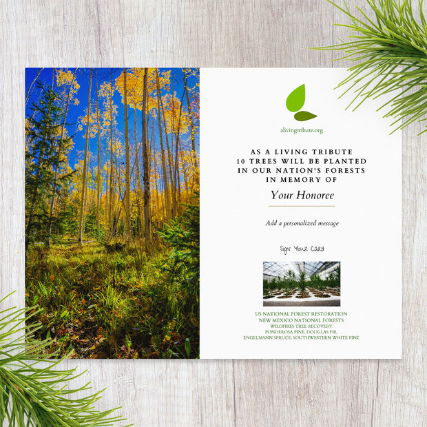 Plant-a-Tree Gift with Deluxe Photo Card