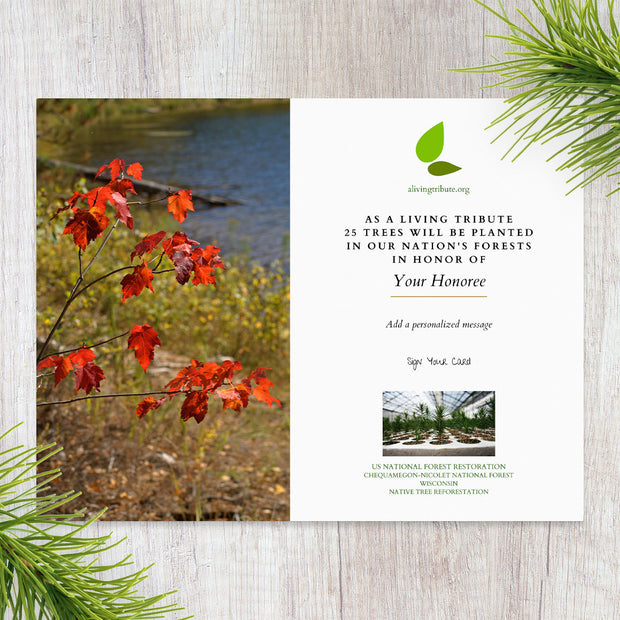 Plant-a-Tree Gift with Deluxe Photo Card