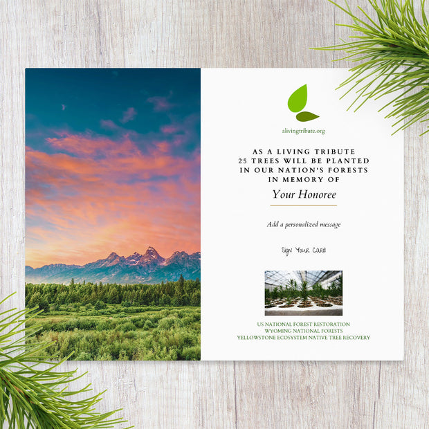 Plant-a-Tree Gift with Deluxe Photo Card