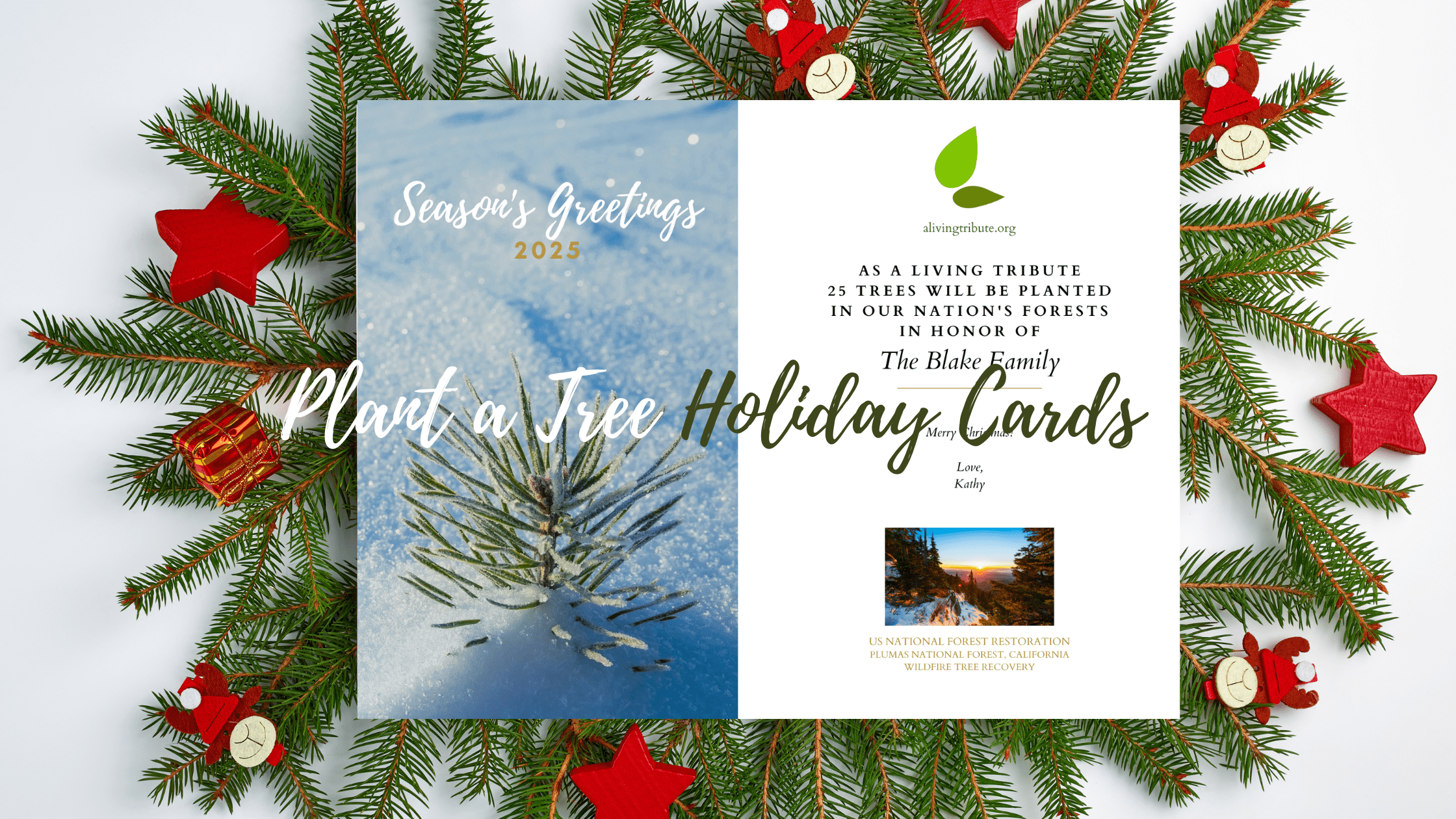 Plant-a-Tree Holiday Cards: A Living Tribute's Holiday Gift Guide