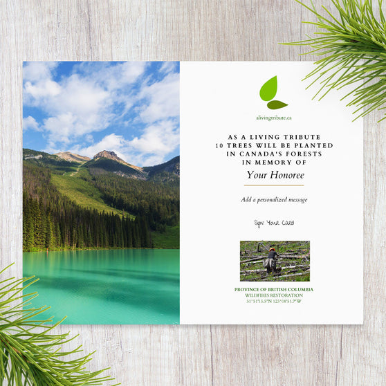 Plant a Tree in Canada with Personalized Photo Card