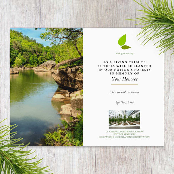 Plant a Tree for Someone in Kentucky - Memorial & Tribute Trees