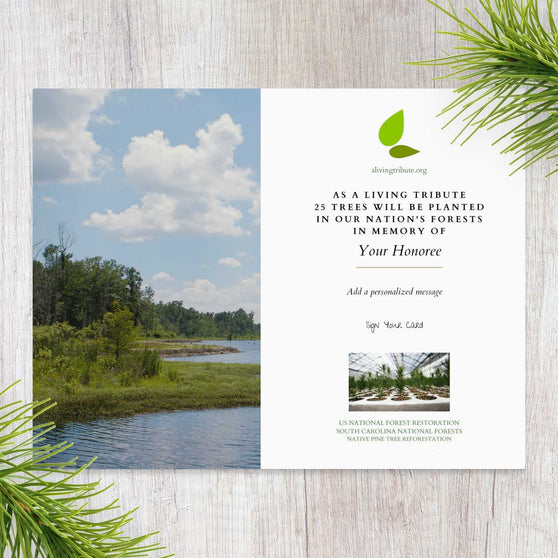 Plant a Tree for Someone in South Carolina - Memorial & Tribute Trees