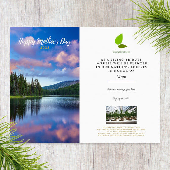 Plant a Tree Mother's Day Card