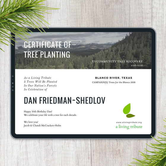 Plant-a-Tree Gift with E-Certificate