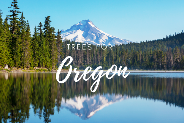 Plant a Tree for Someone in Oregon - Memorial & Tribute Trees