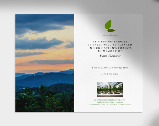Plant a Tree for Someone in Vermont - Memorial & Tribute Trees